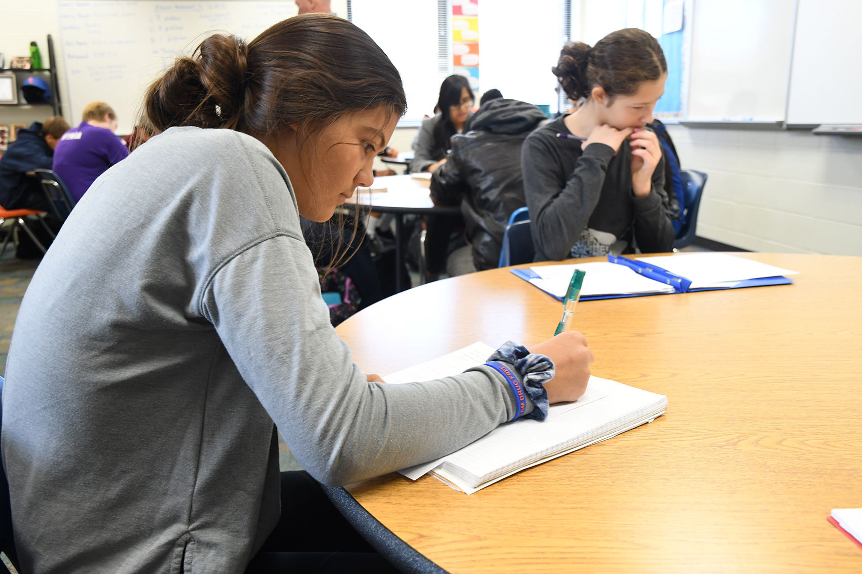 Sioux Center School District enrollment